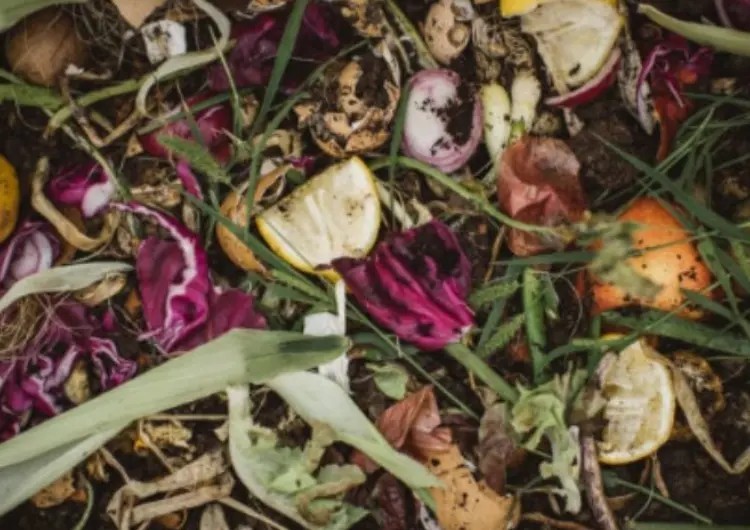 Comment activer mon compost naturellement ? Comment activer mon compost naturellement ?